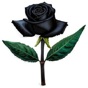 Black Roses For Funeral PNG 06212024 PNG