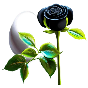 Black Roses For Valentine PNG Yot54 PNG
