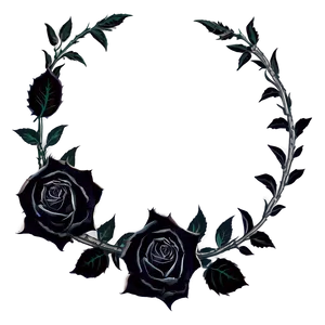 Black Roses Frame Png 51 PNG image