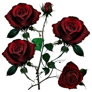 Black Roses Gothic PNG 20