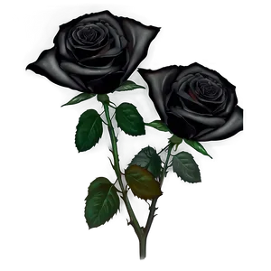 Black Roses In Darkness PNG Yuy PNG