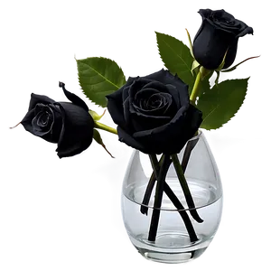 Black Roses In Vase PNG 35 PNG