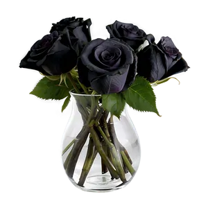 Black Roses In Vase PNG 48 PNG