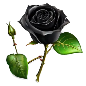 Black Roses Invitation PNG Pca10 PNG