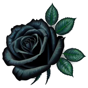 Black Roses Pattern Png 06212024 PNG image