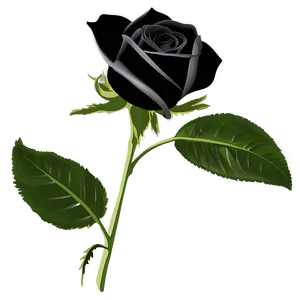 Black Roses Silhouette Png 06212024 PNG image