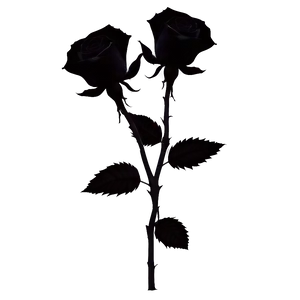 Black Roses Silhouette Png Wey38 PNG image