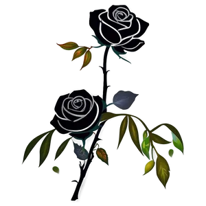 Black Roses Tattoo Design PNG 06212024 PNG