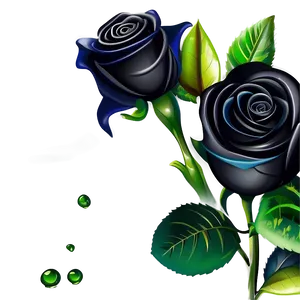 Black Roses Vector PNG 06212024
