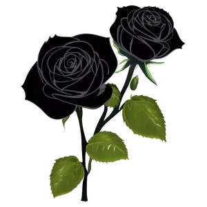 Black Roses Vector PNG Hiq