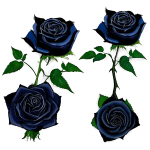 Black Roses Wallpaper PNG Jmj