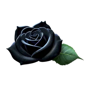 Black Roses Wallpaper PNG Xma74 PNG