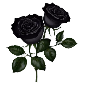 Black Roses With Lace PNG 06212024 PNG