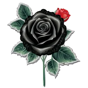 Black Roses With Lace PNG 06212024 PNG