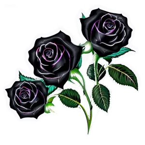 Black Roses With Lace PNG 06212024 PNG
