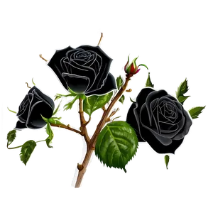 Black Roses With Thorns PNG Fgd93 PNG