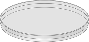 Black Round Serving Tray PNG