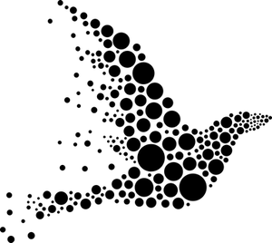 Black Screen Blank Image
