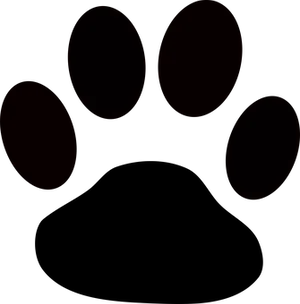 Black Screen Multiple Circles