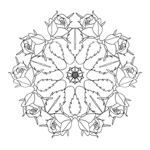 Black Screen Placeholder PNG