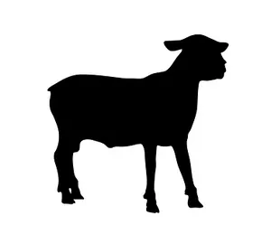 Black Sheep Silhouette PNG image
