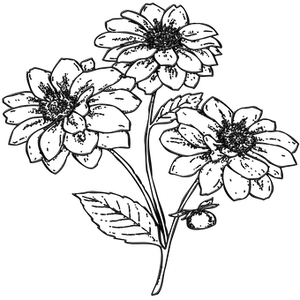 Black Silhouette Flowers