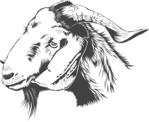 Black Silhouette Goat Graphic PNG image