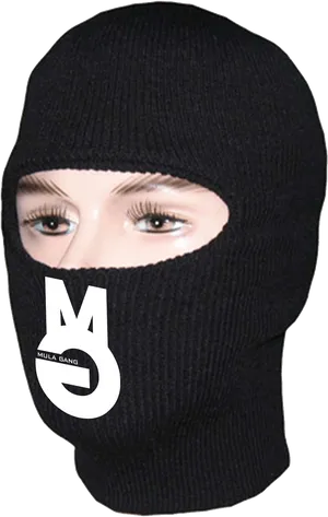 Black Ski Mask Winter Apparel PNG image