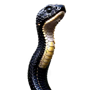 Black Snake Head Profile PNG Svn57 PNG