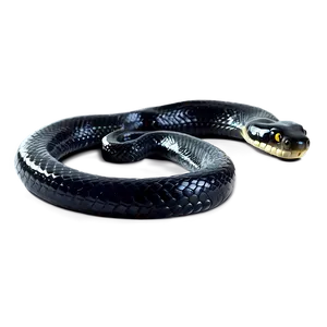 Black Snake Hissing PNG Qdk56 PNG