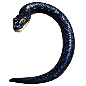 Black Snake In Attack Position PNG Dut PNG