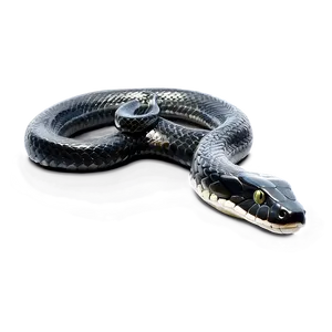 Black Snake In Attack Position PNG Ntc81 PNG