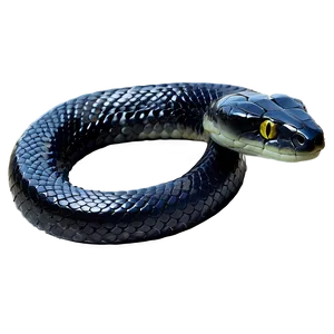 Black Snake Scales Texture PNG Rrr36 PNG