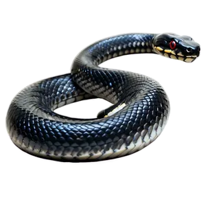 Black Snake With Tongue Out PNG 10 PNG