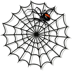 Black Spideron Web PNG image