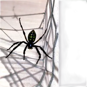 Black Spideron Web Corner