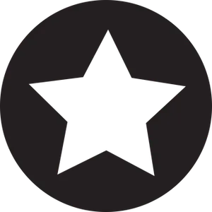 Black Star Icon PNG image