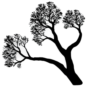 Black Tree Branch Silhouette PNG 06212024