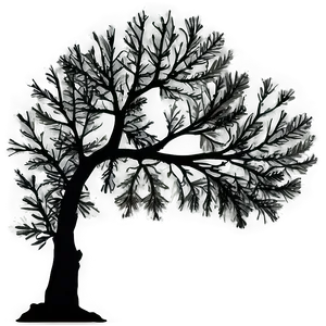 Black Tree Branch Silhouette PNG 22 PNG