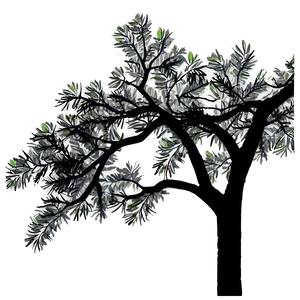 Black Tree Branches Png Upd29 PNG image