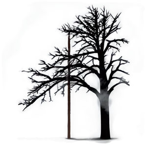 Black Tree In Fog PNG 66 PNG