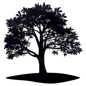 Black Tree In Night PNG 29