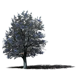 Black Tree In Spring PNG 06212024 PNG