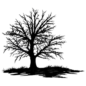 Black Tree In Storm PNG Lqq PNG