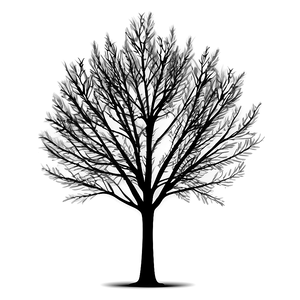 Black Tree On White Background PNG Upu PNG
