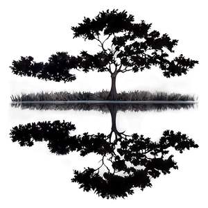 Black Tree Reflection PNG 06212024