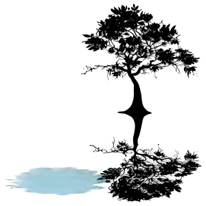 Black Tree Reflection PNG Mpw
