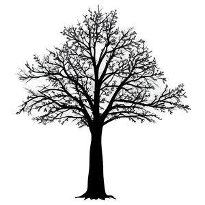 Black Tree Shadow Png Flk34 PNG image