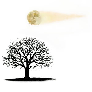 Black Tree Under Moonlight PNG 66
