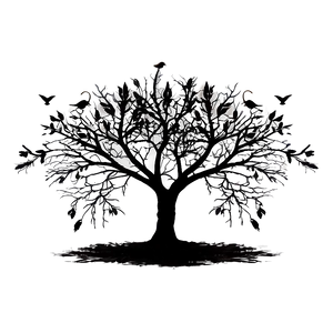 Black Tree With Birds Flying Away PNG 06212024 PNG